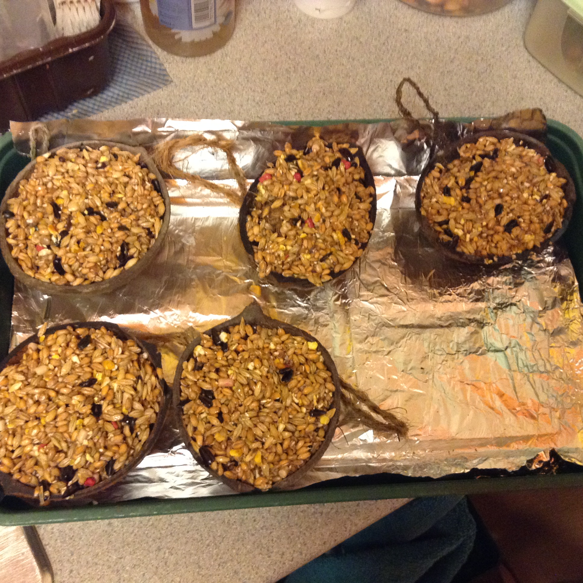 Bird Cakes