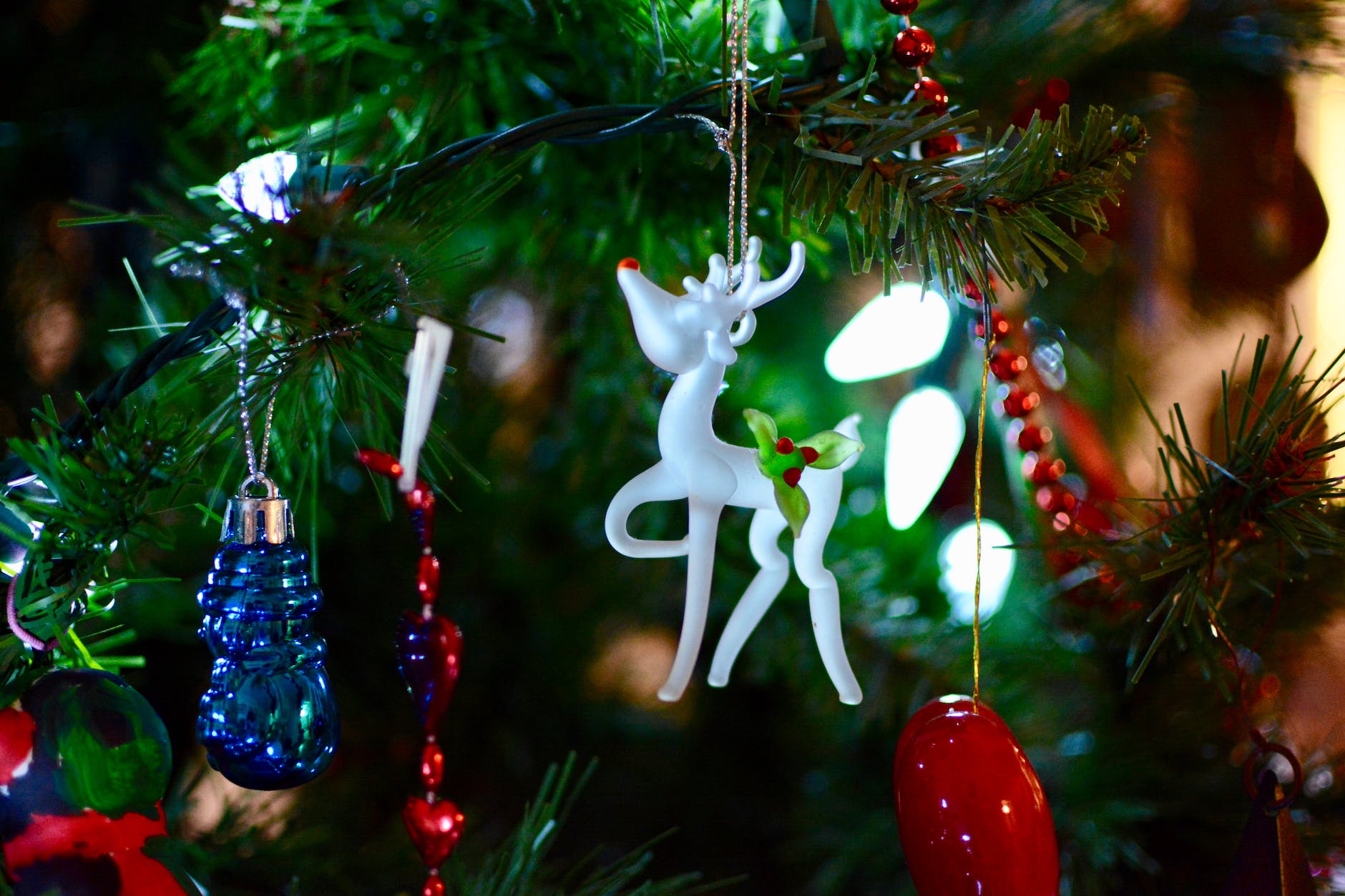 Merry Christmas!!!    (6 Christmas traditions in the UK and where they come from)