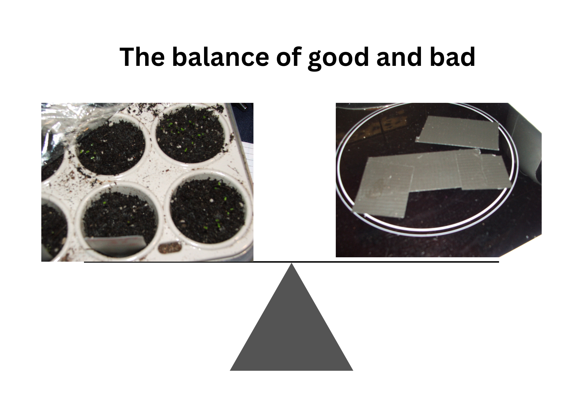 Keeping life in balance