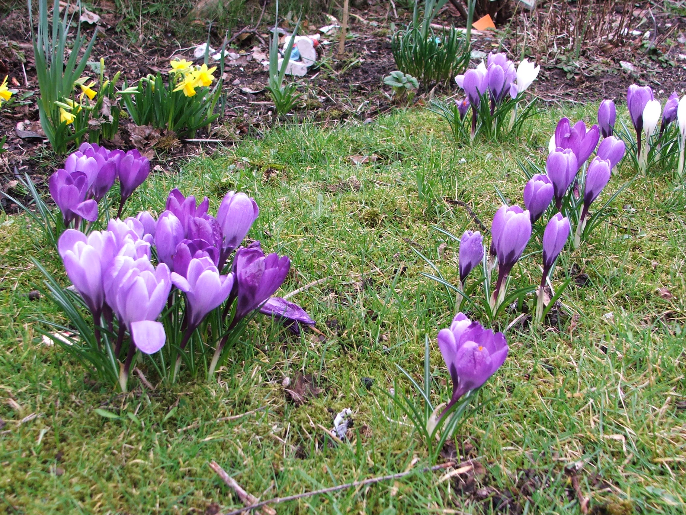 Spring growth continues to bring optimism