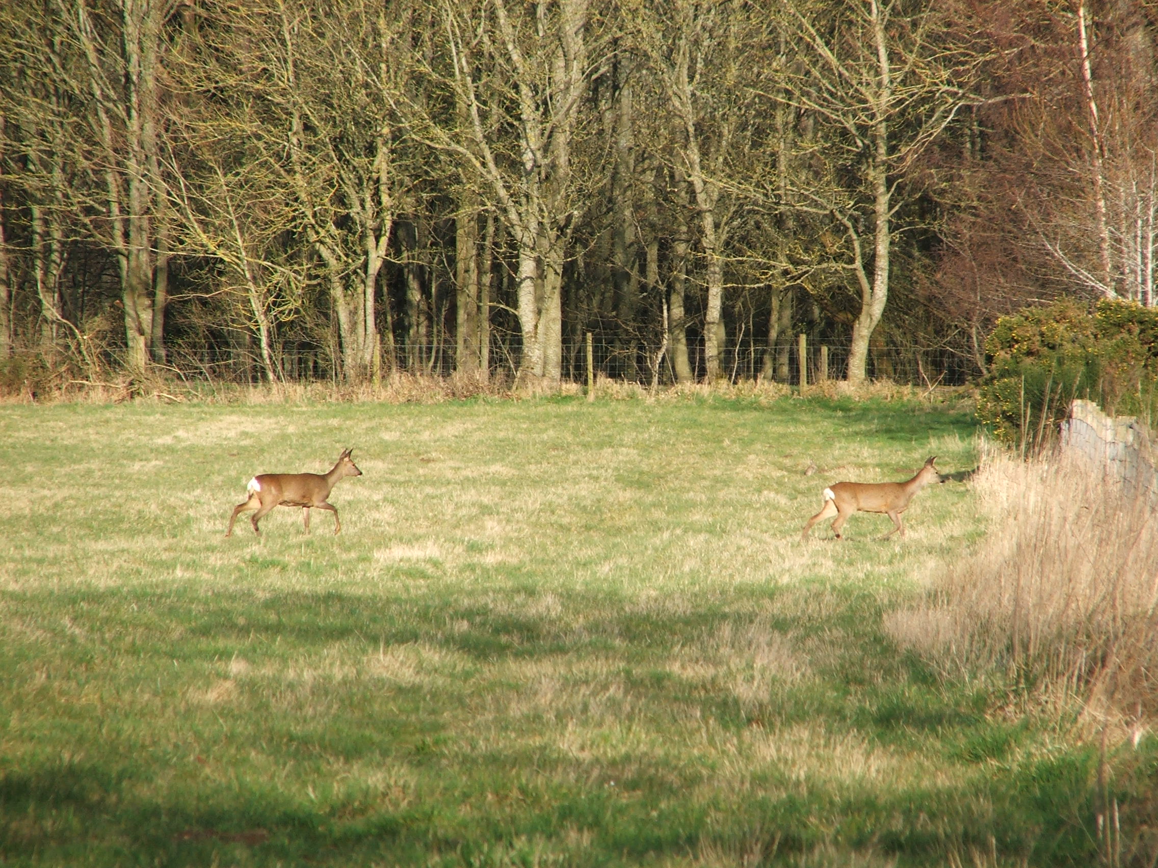 Easter Sunday Walk