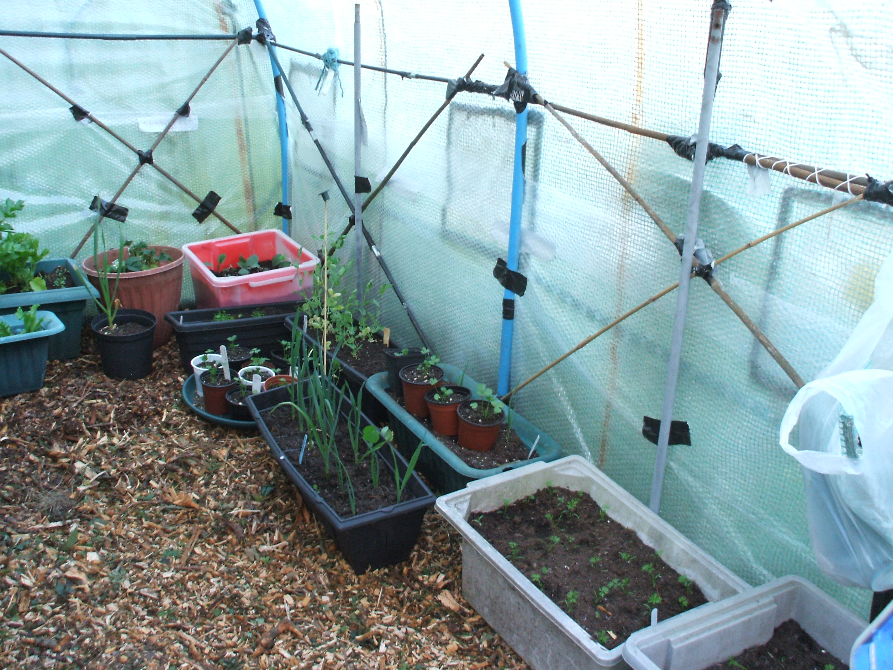 The Final Polytunnel Update