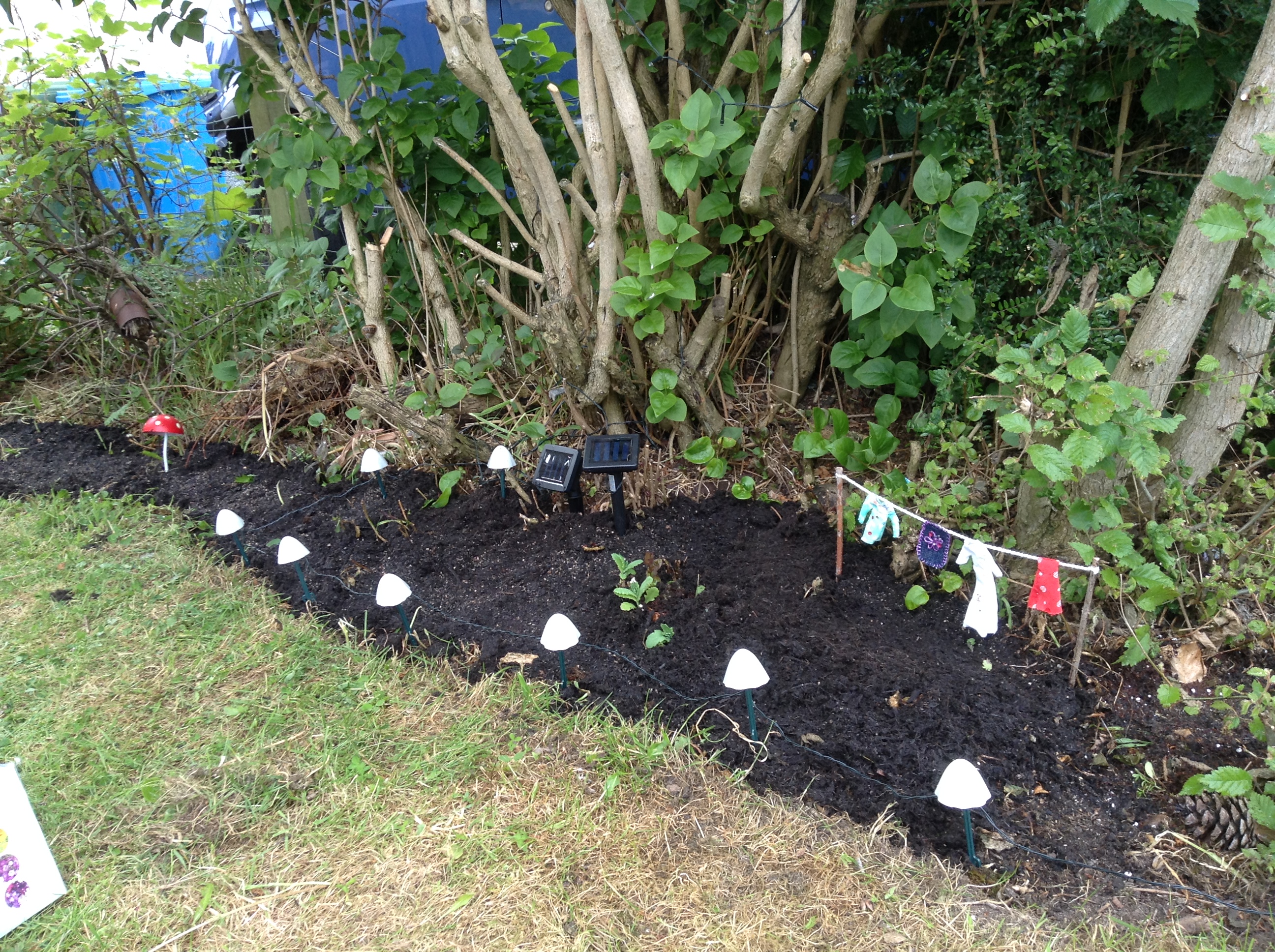 Making a fairy garden (part 1)