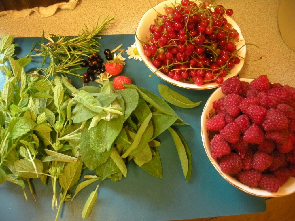 Garden herbs and summer fruits – the harvest&nbsp;begins