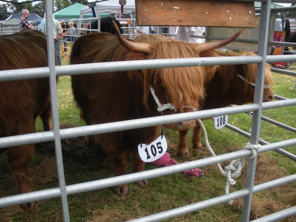 We made it to the Nairn Show – we enjoyed it but not without&nbsp;concerns