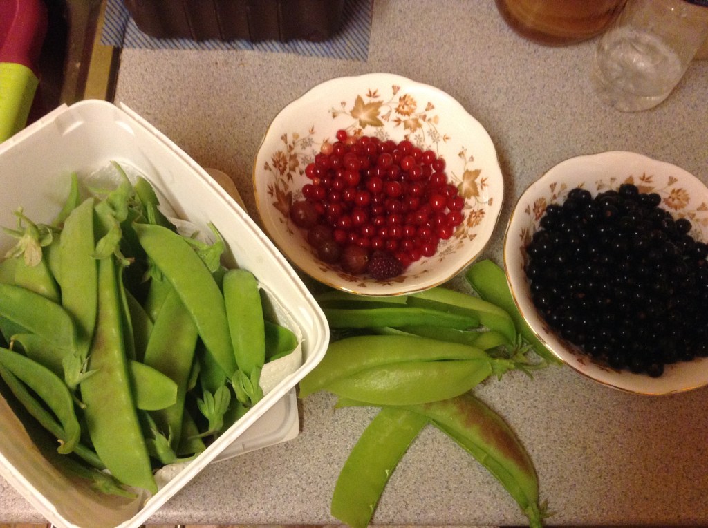 The growing, the harvesting and then comes the&nbsp;processing