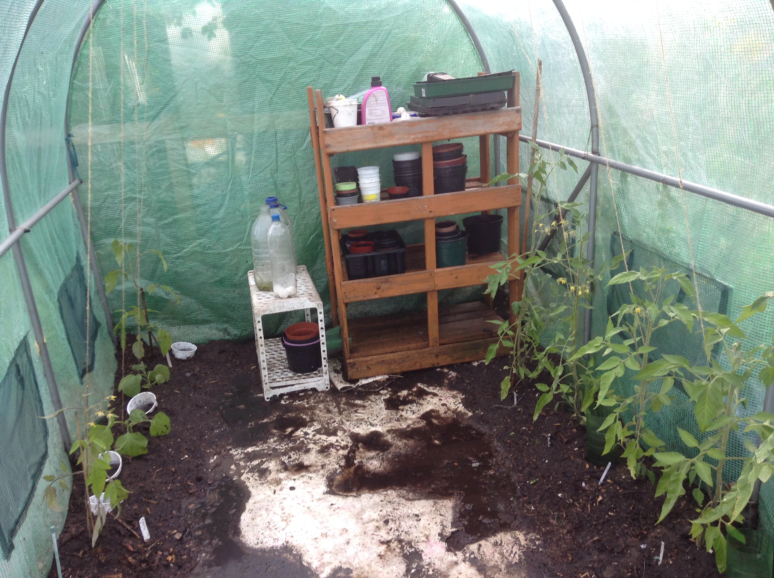 Allotment improvements