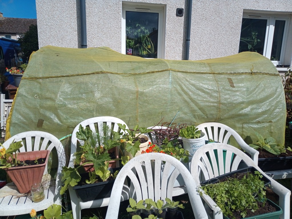 A little disheartened