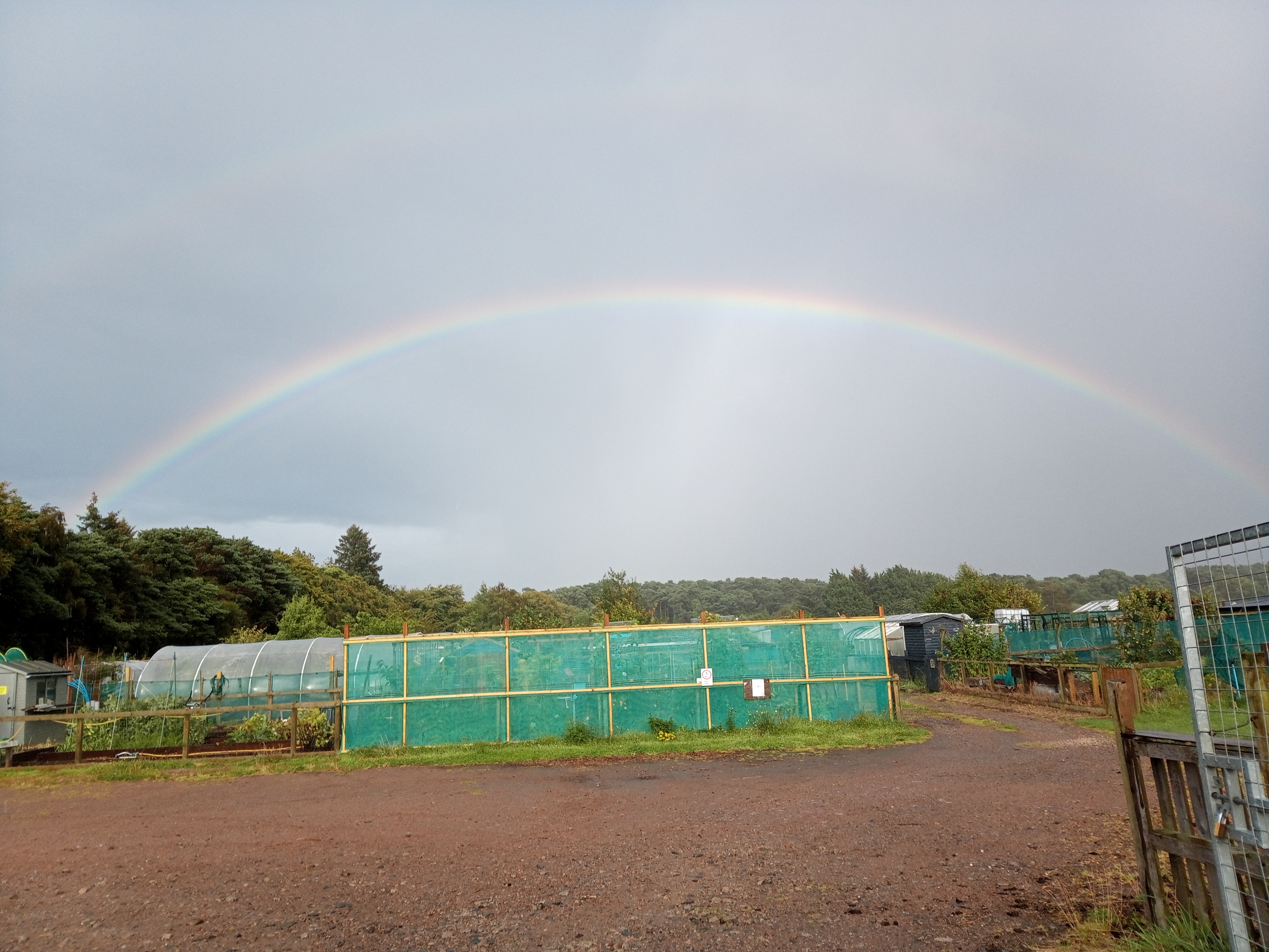 Gardening in Scottish weather