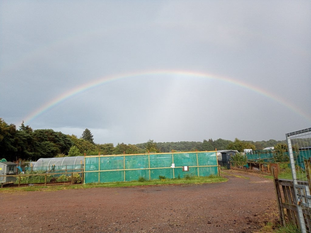Gardening in Scottish&nbsp;weather