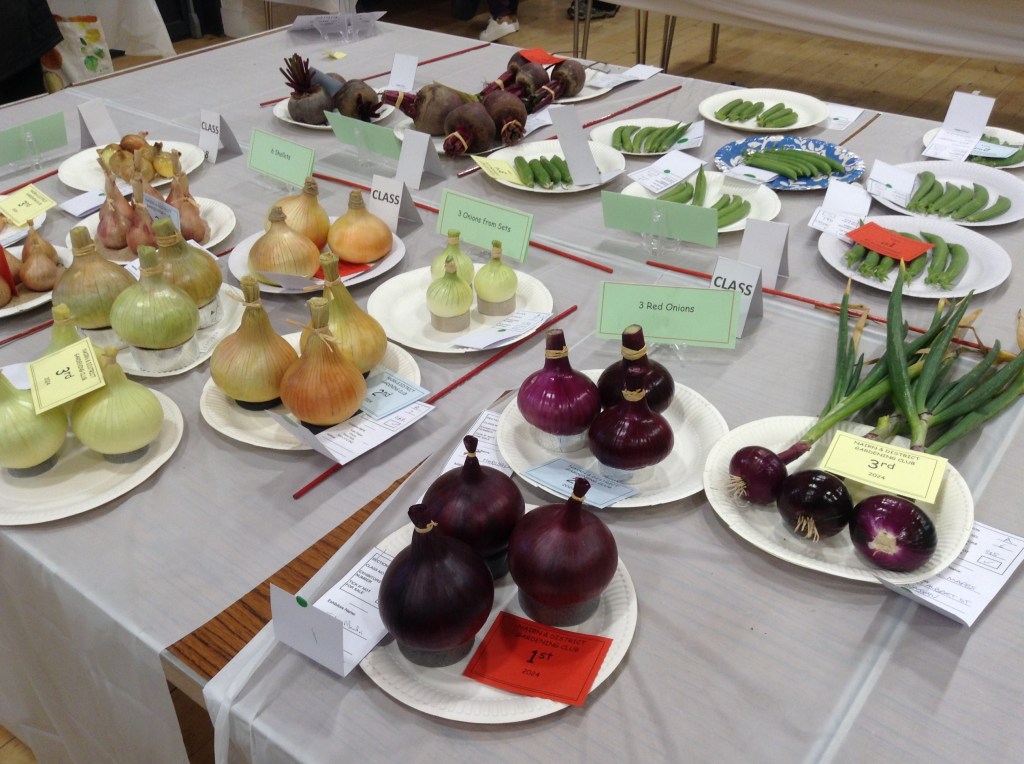 Looking for garden and craft&nbsp;inspiration?