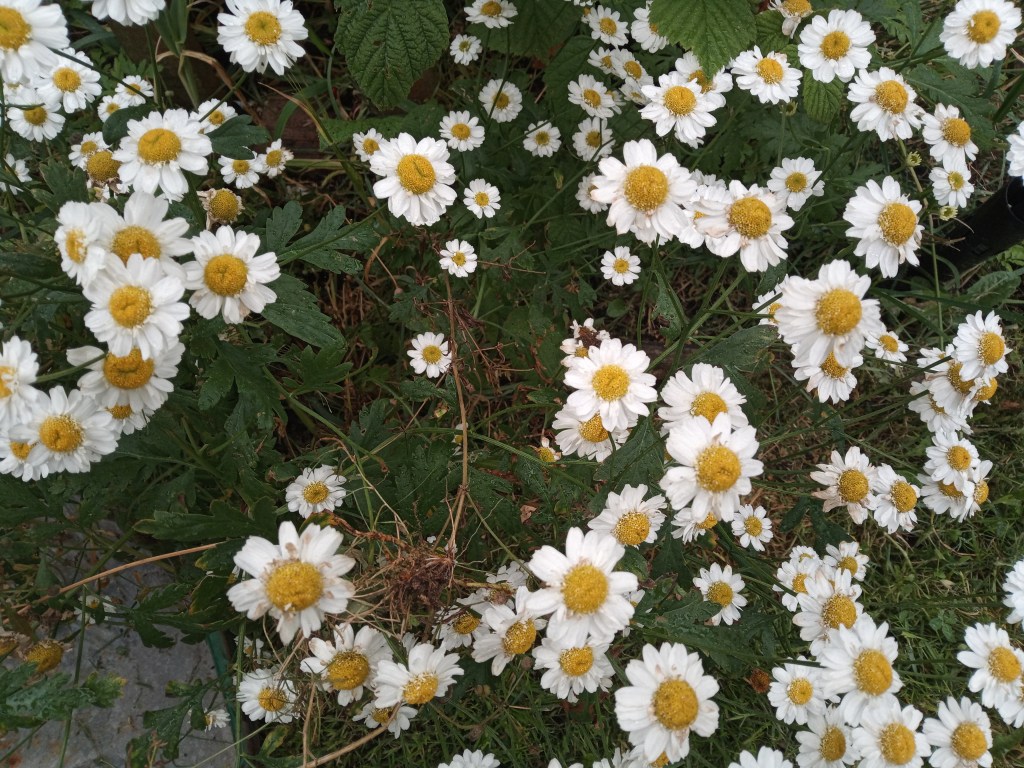 Looking for colour among lots of&nbsp;grey!