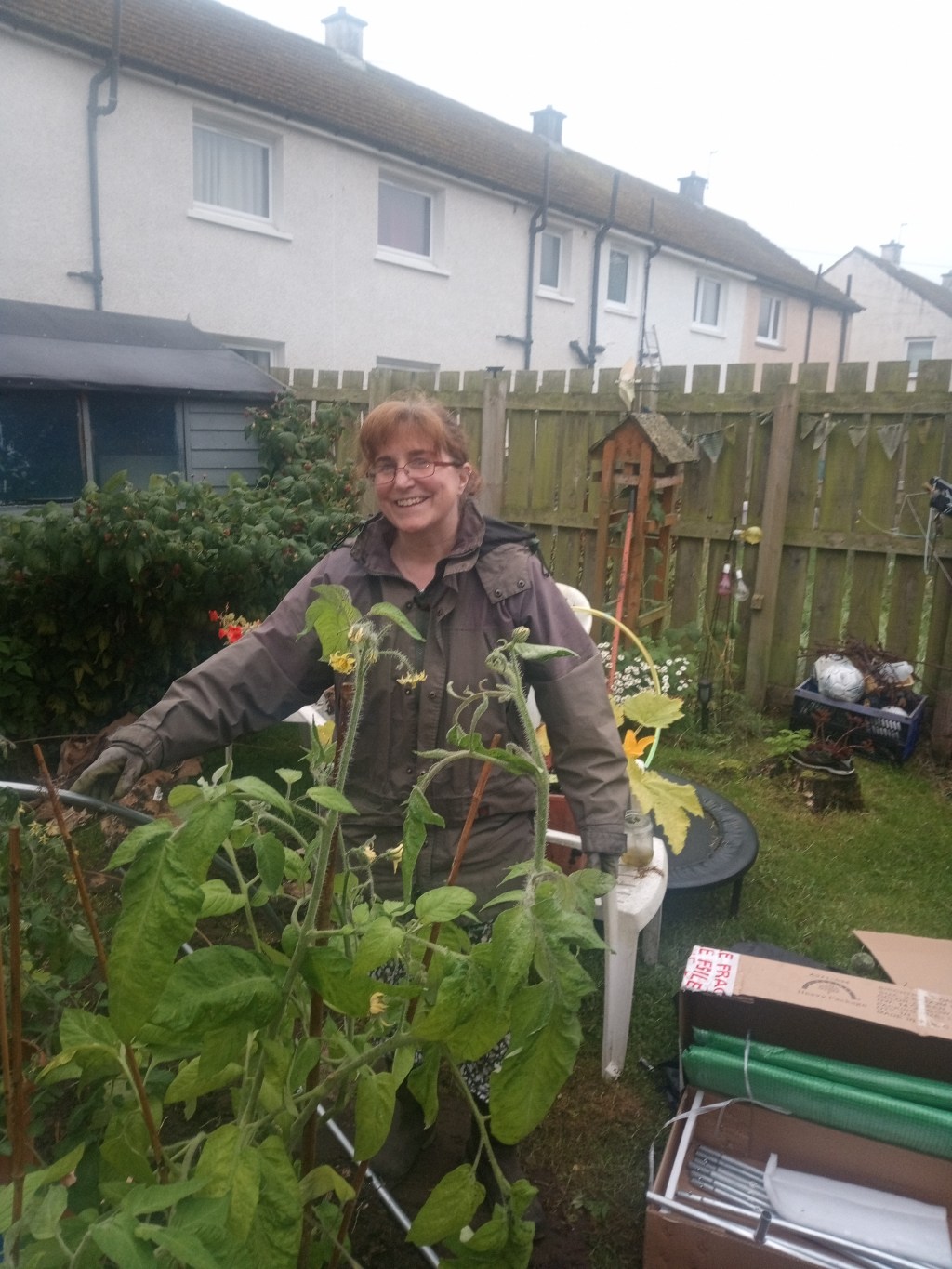 Polytunnel replacement!