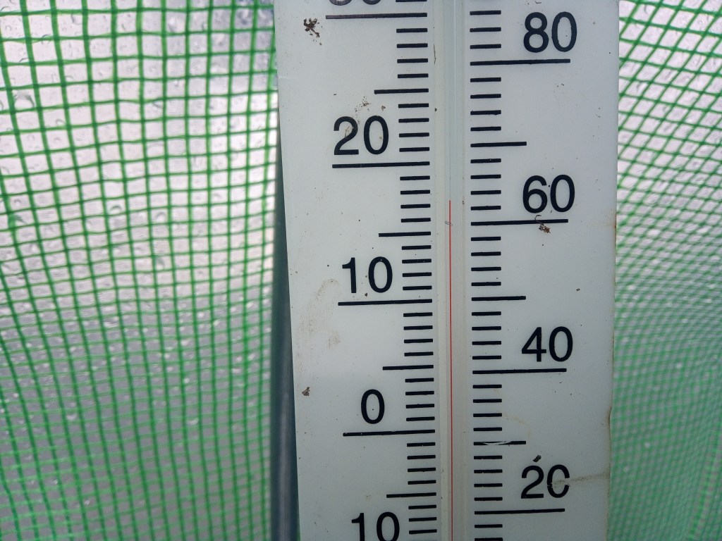 Attempting to heat a polytunnel + an Autumn&nbsp;garden