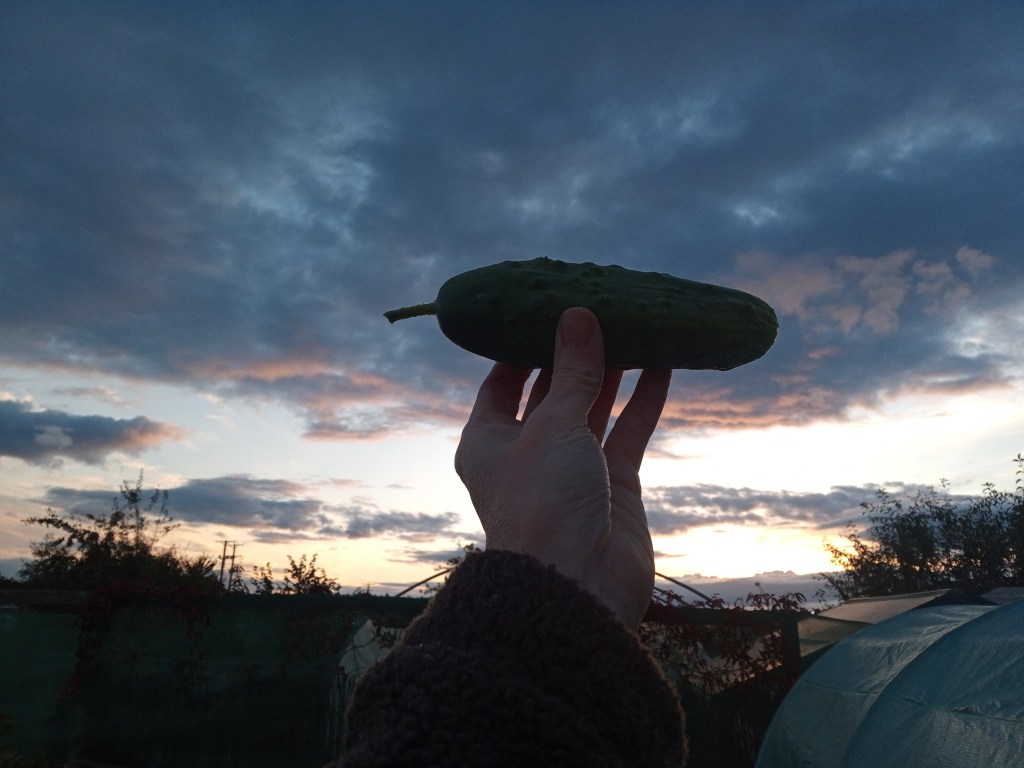 A Momentous Occasion