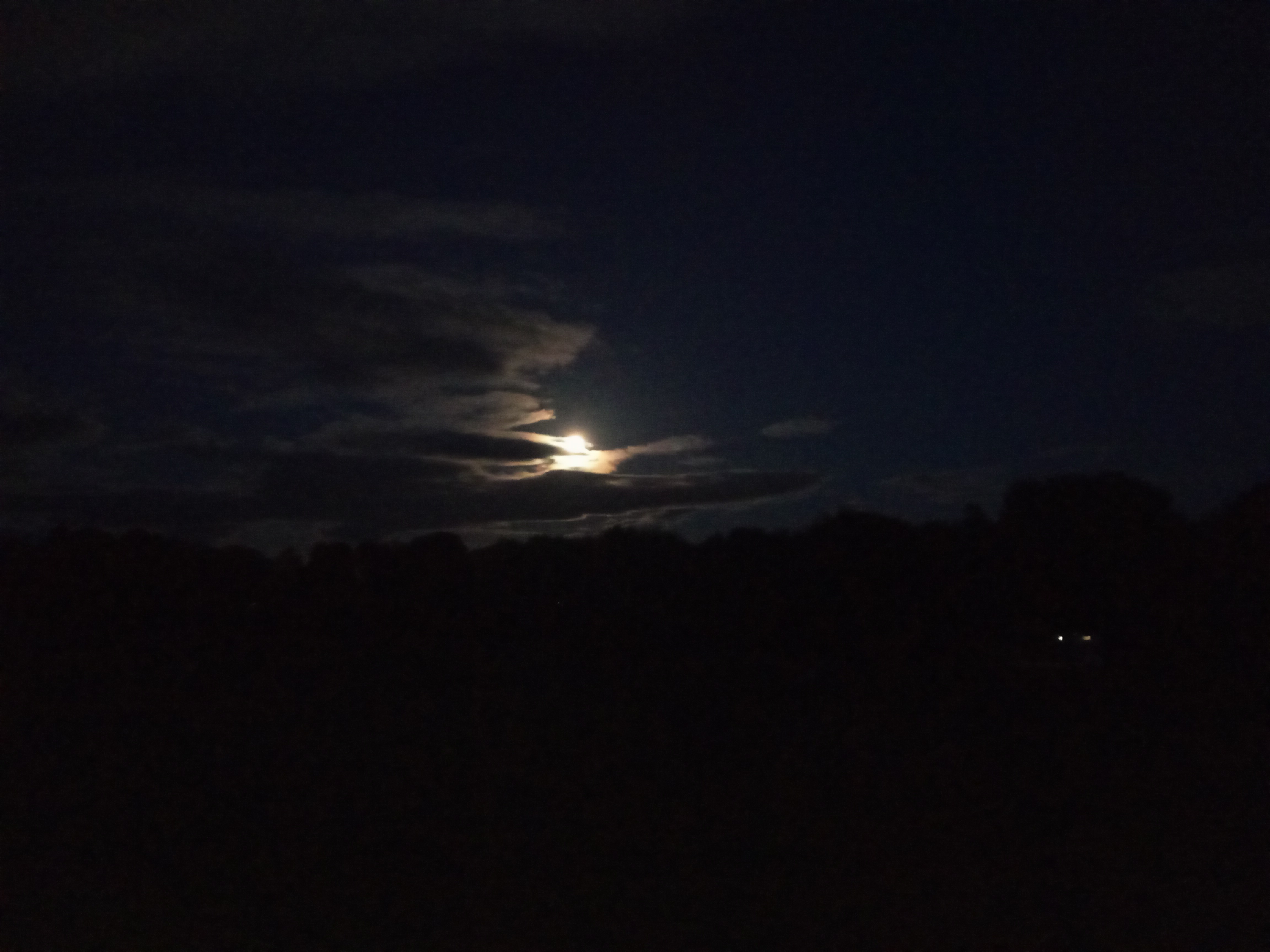 Garlic Moon?!