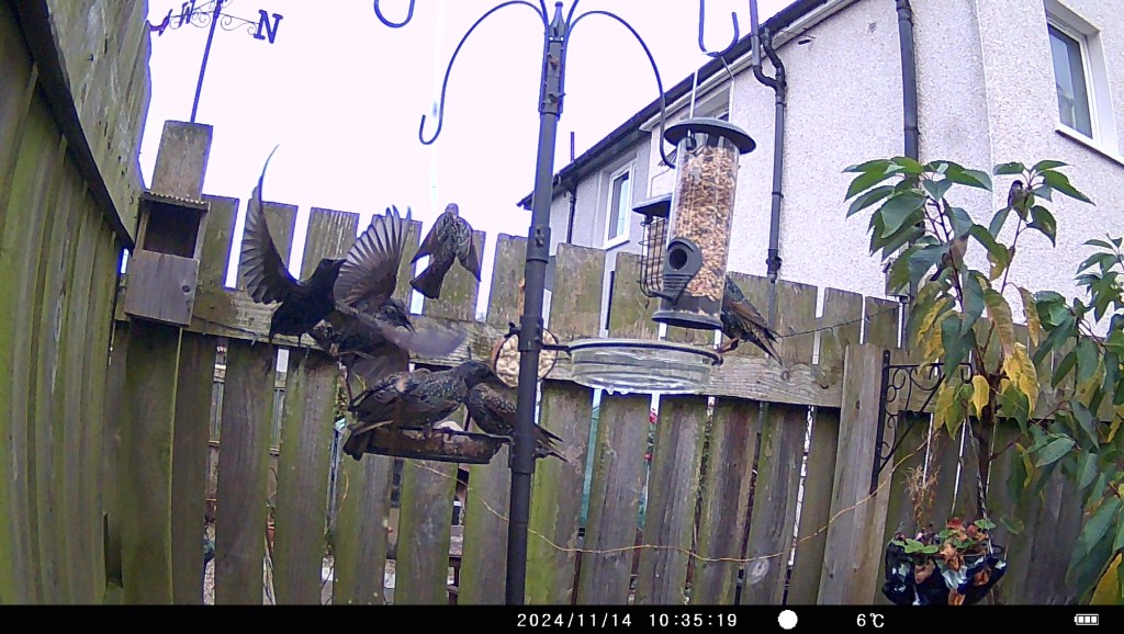 There is a mystery&nbsp;afoot