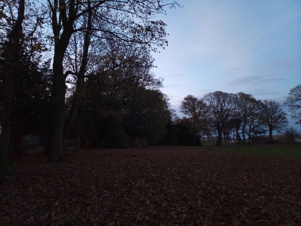 5th November – avoiding the fireworks!