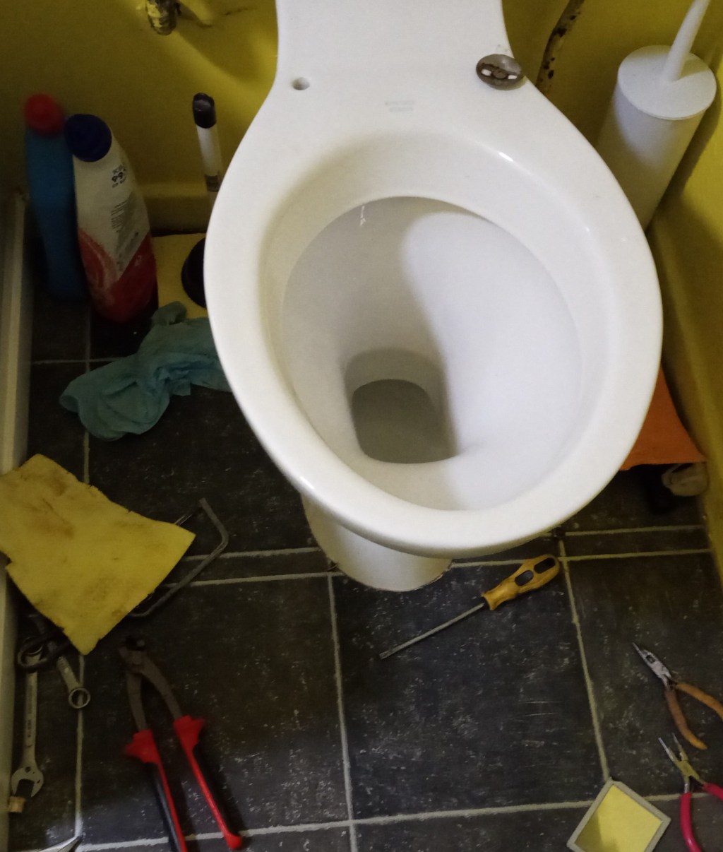 Toilet (seat) trouble