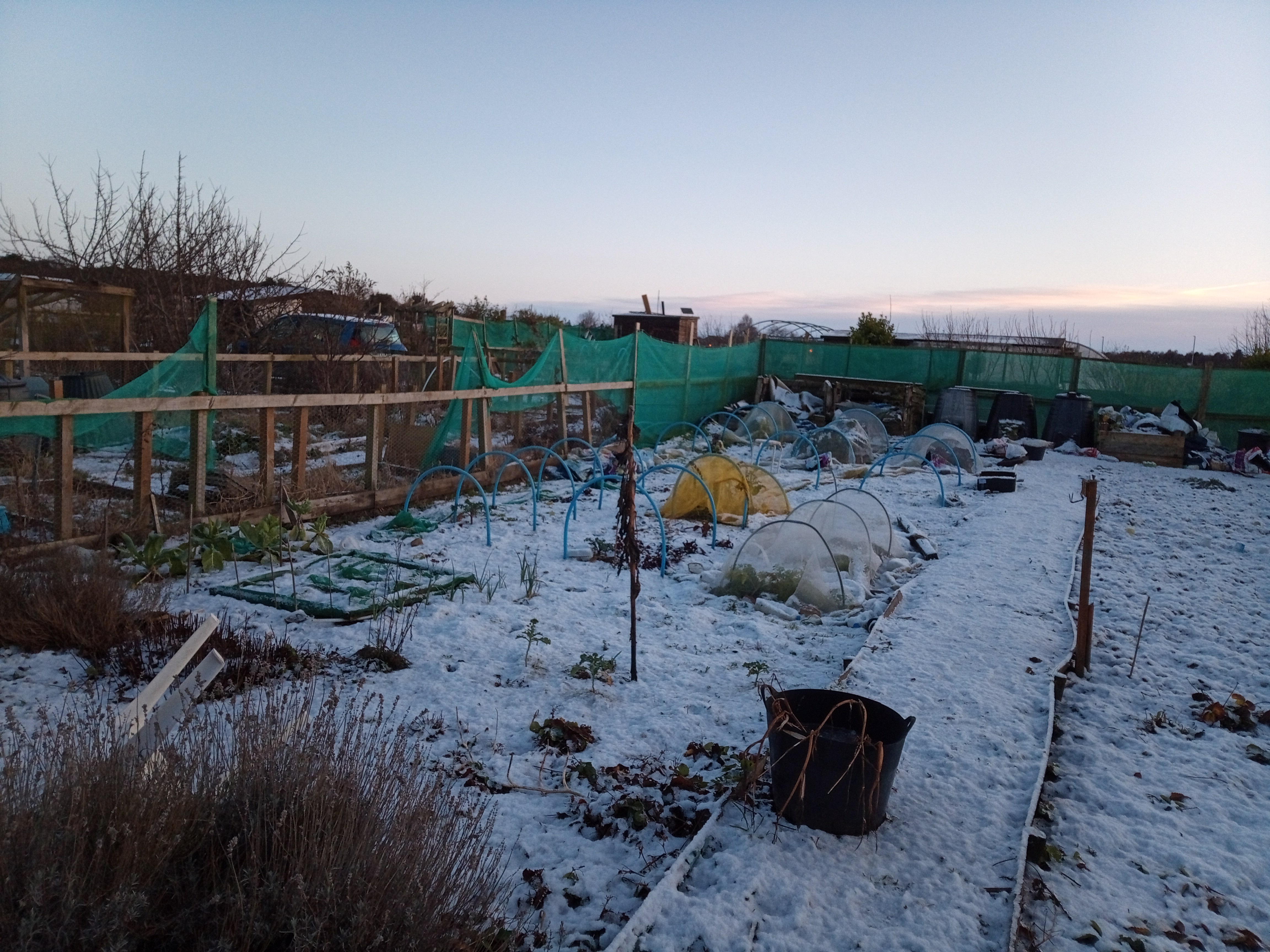 Why my allotment gardening is on ice at the moment