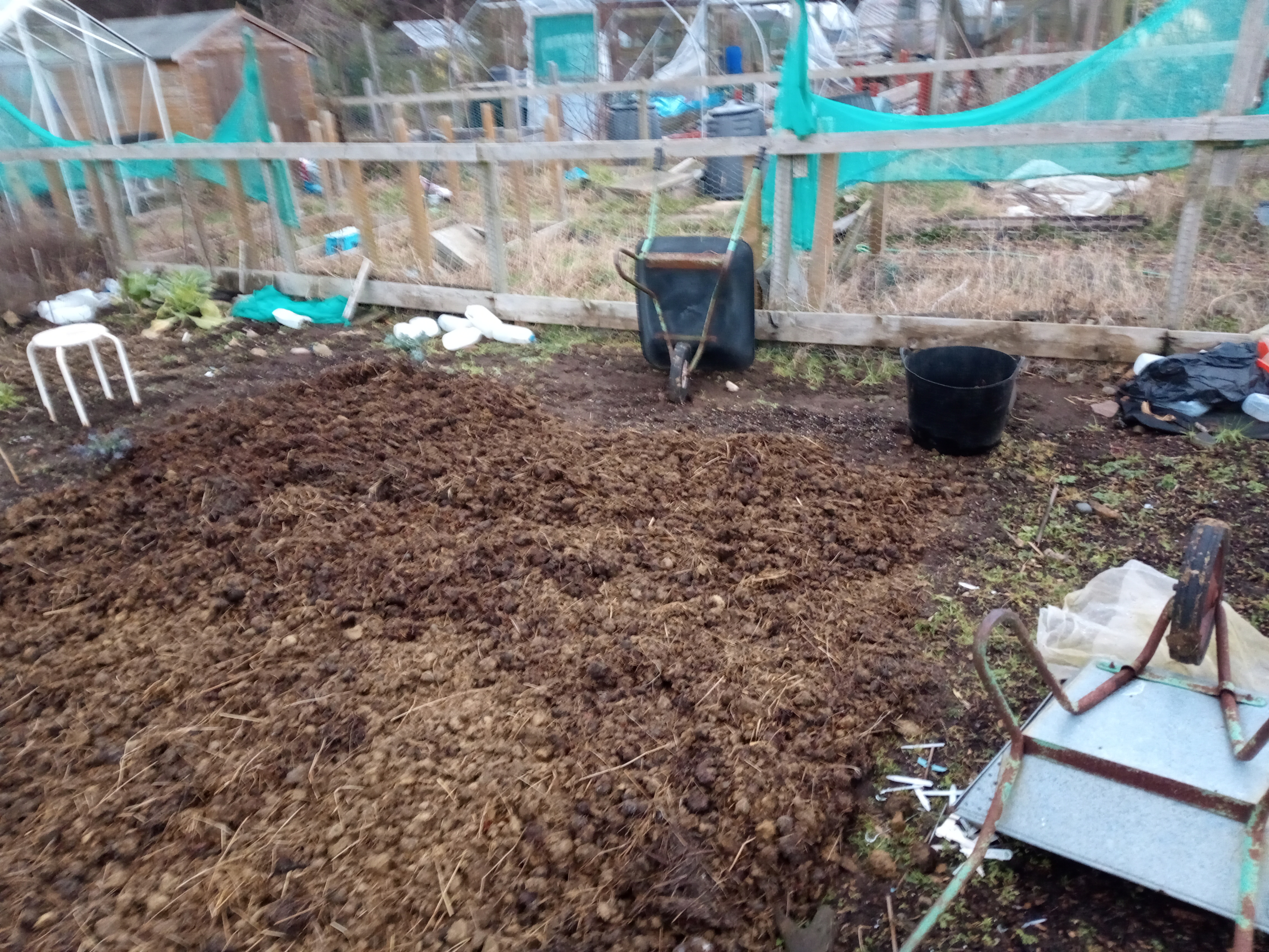 A February Weekend on the Allotment
