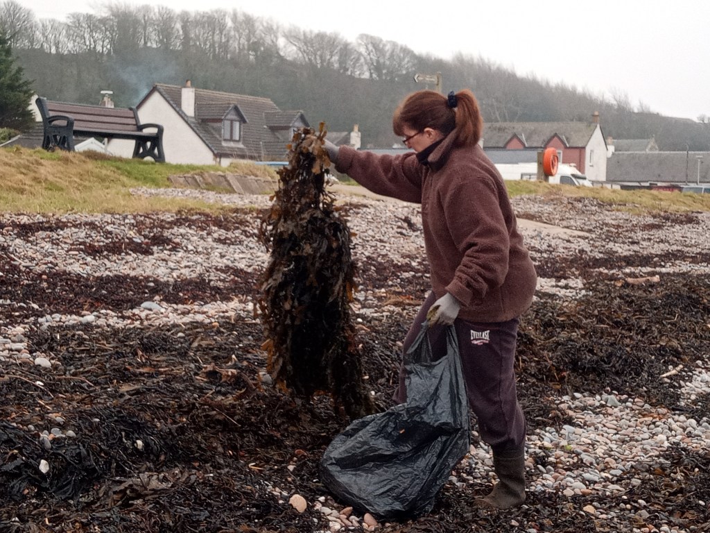 Super Seaweed and Petrifying&nbsp;Pruning