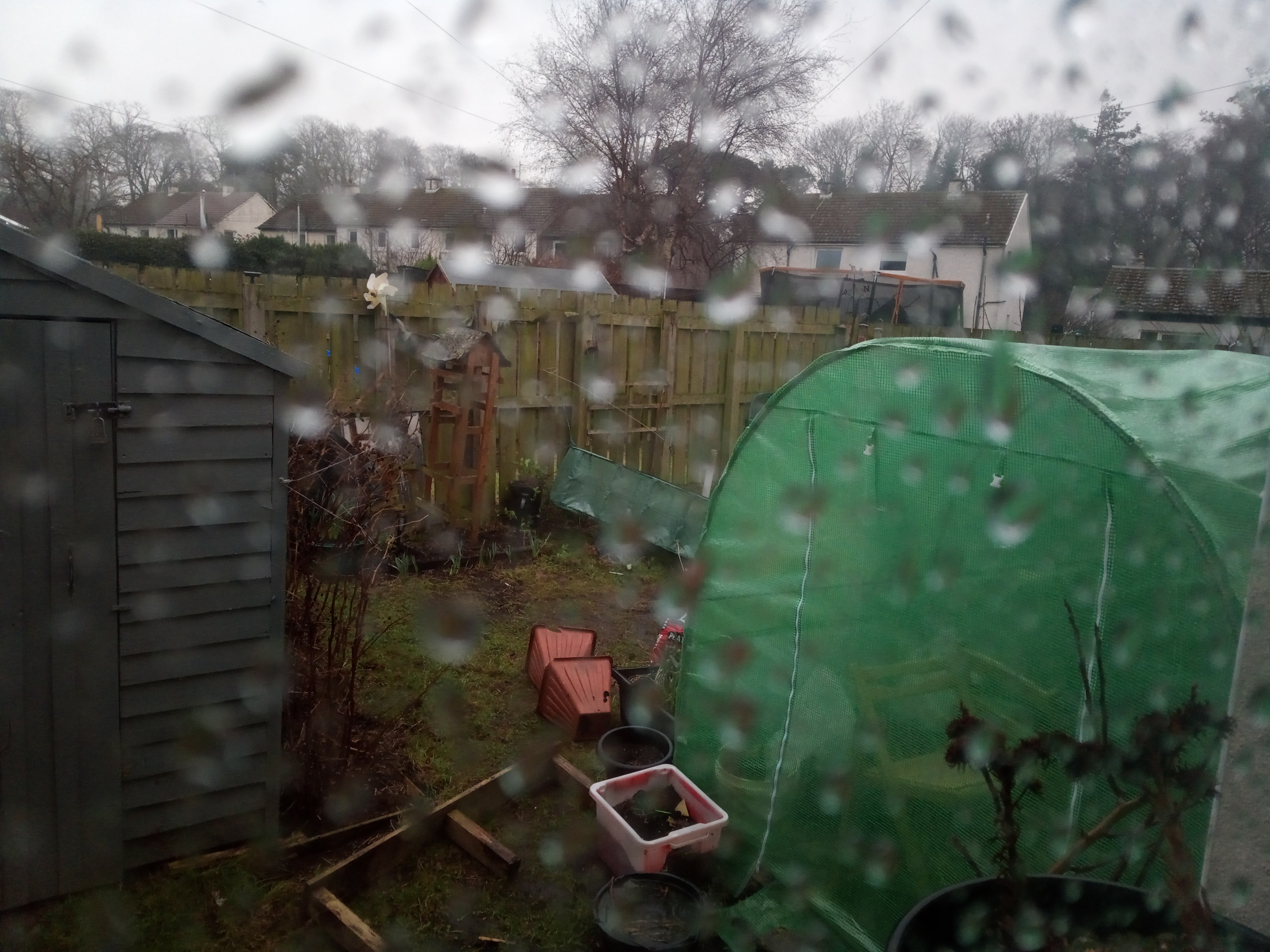 Not the weather for Gardening