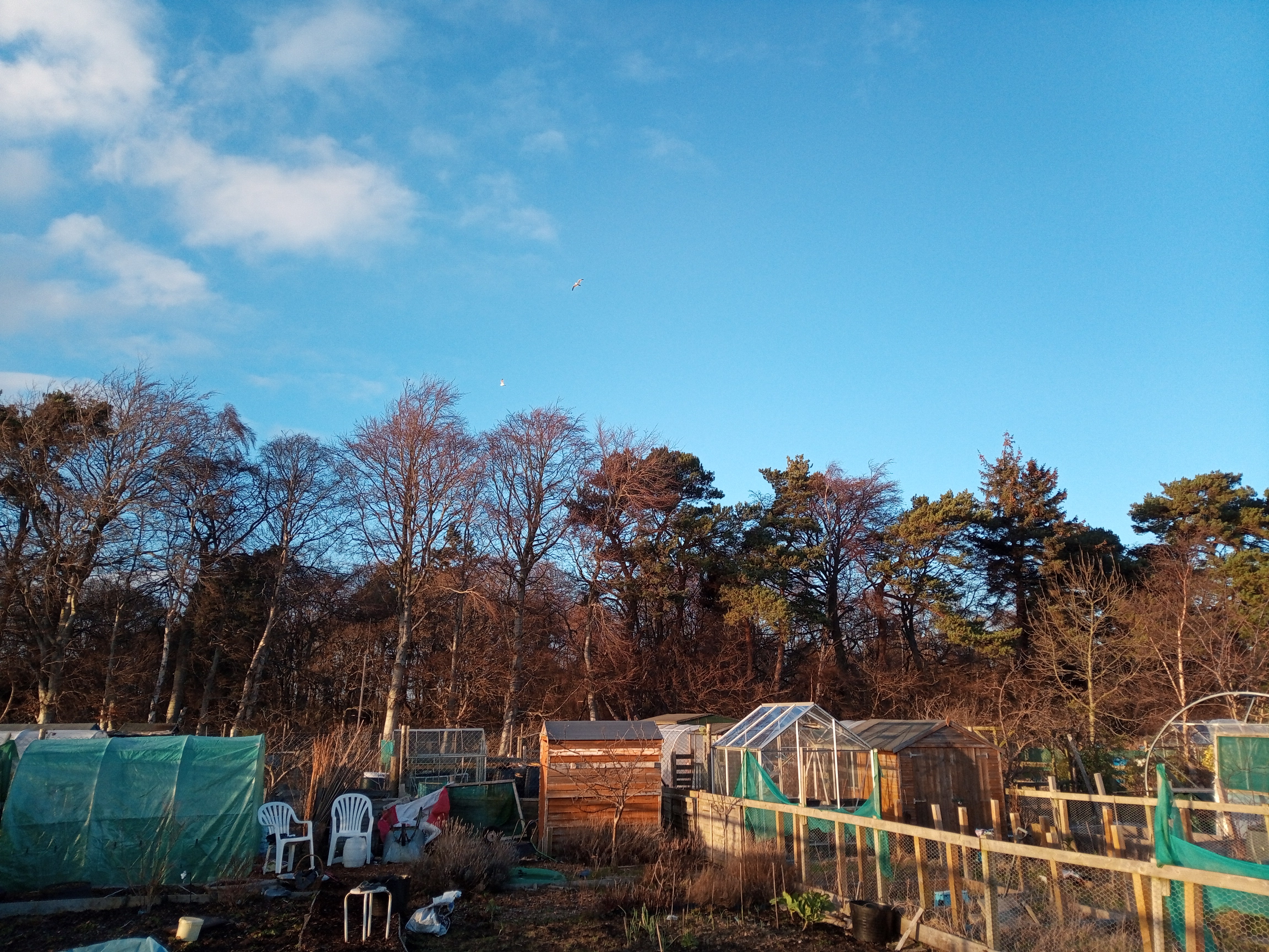 February Garden Jobs Continue!