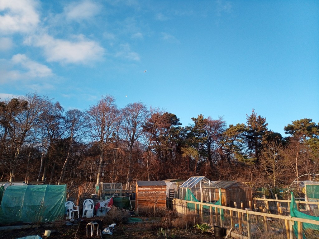 February Garden Jobs&nbsp;Continue!