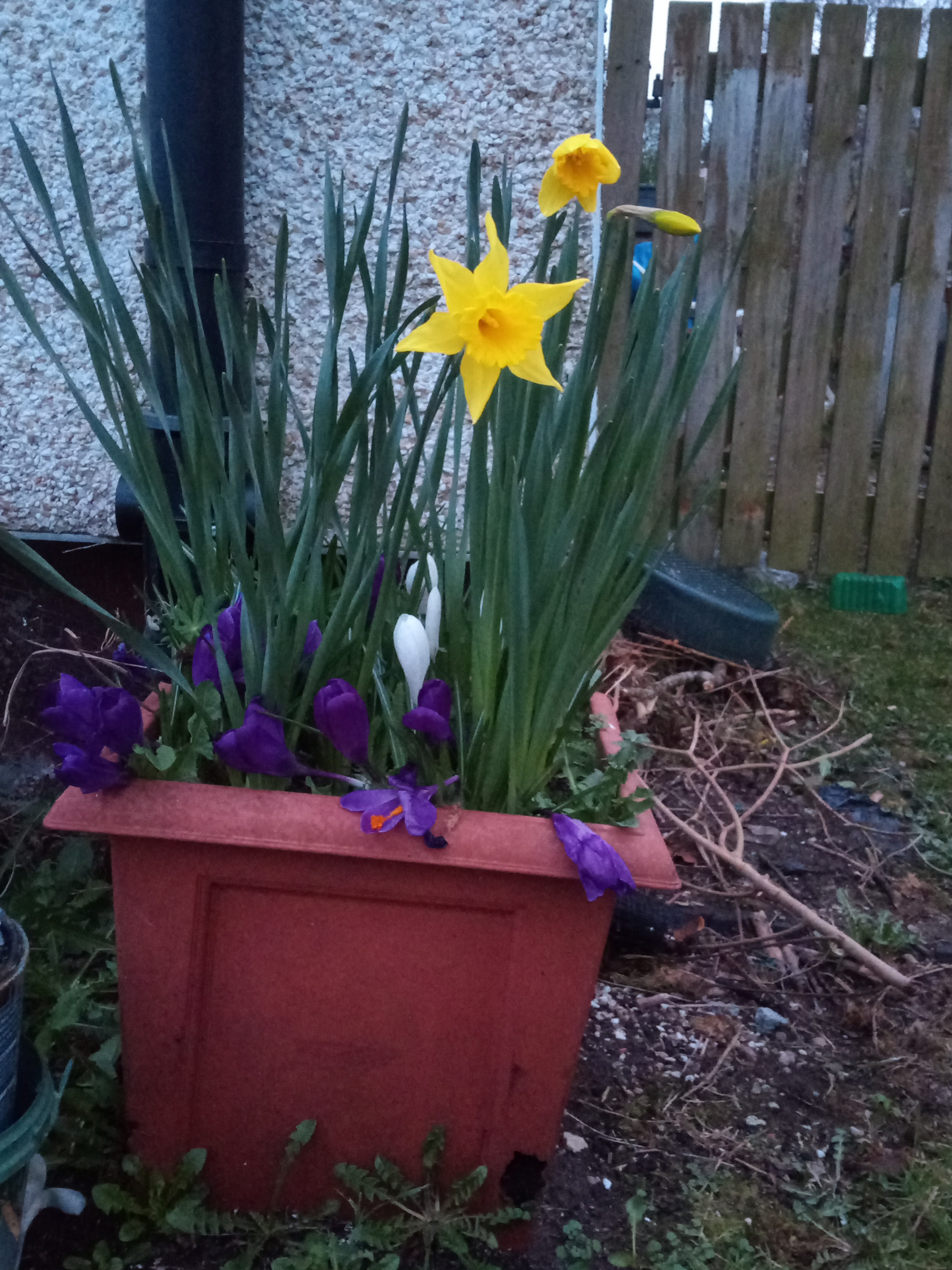 Did Someone Say SPRING?!