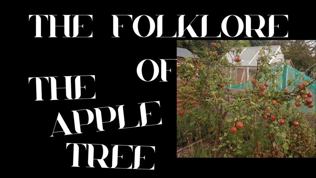 S9 Ep 7 The Enchanted Apple – Folklore, Beliefs &&nbsp;Traditions