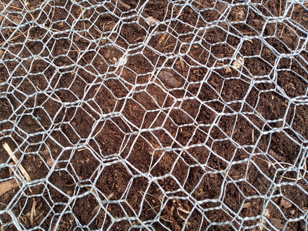 The Chicken Wire/Compost Bin&nbsp;Saga!