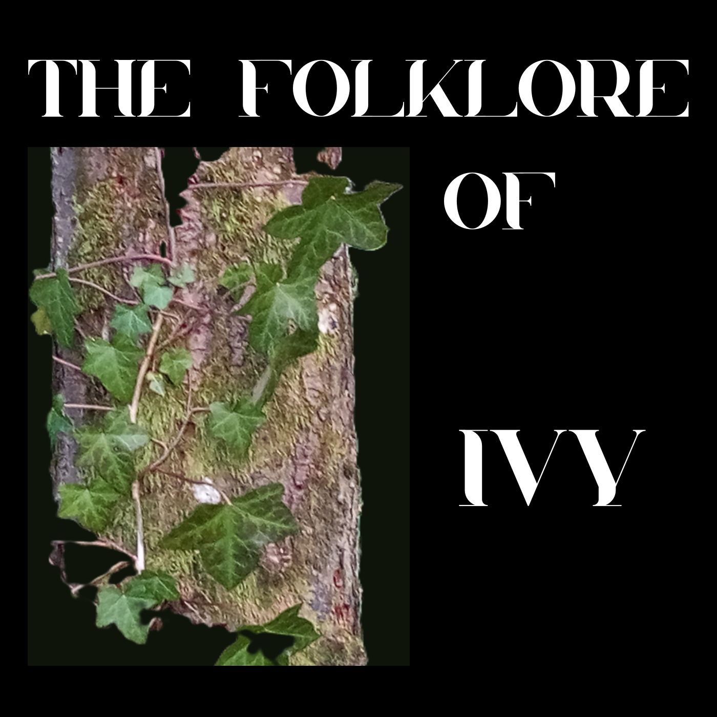 S9 Ep 5 Ancient Vines: The Superstitions & Folklore of Ivy