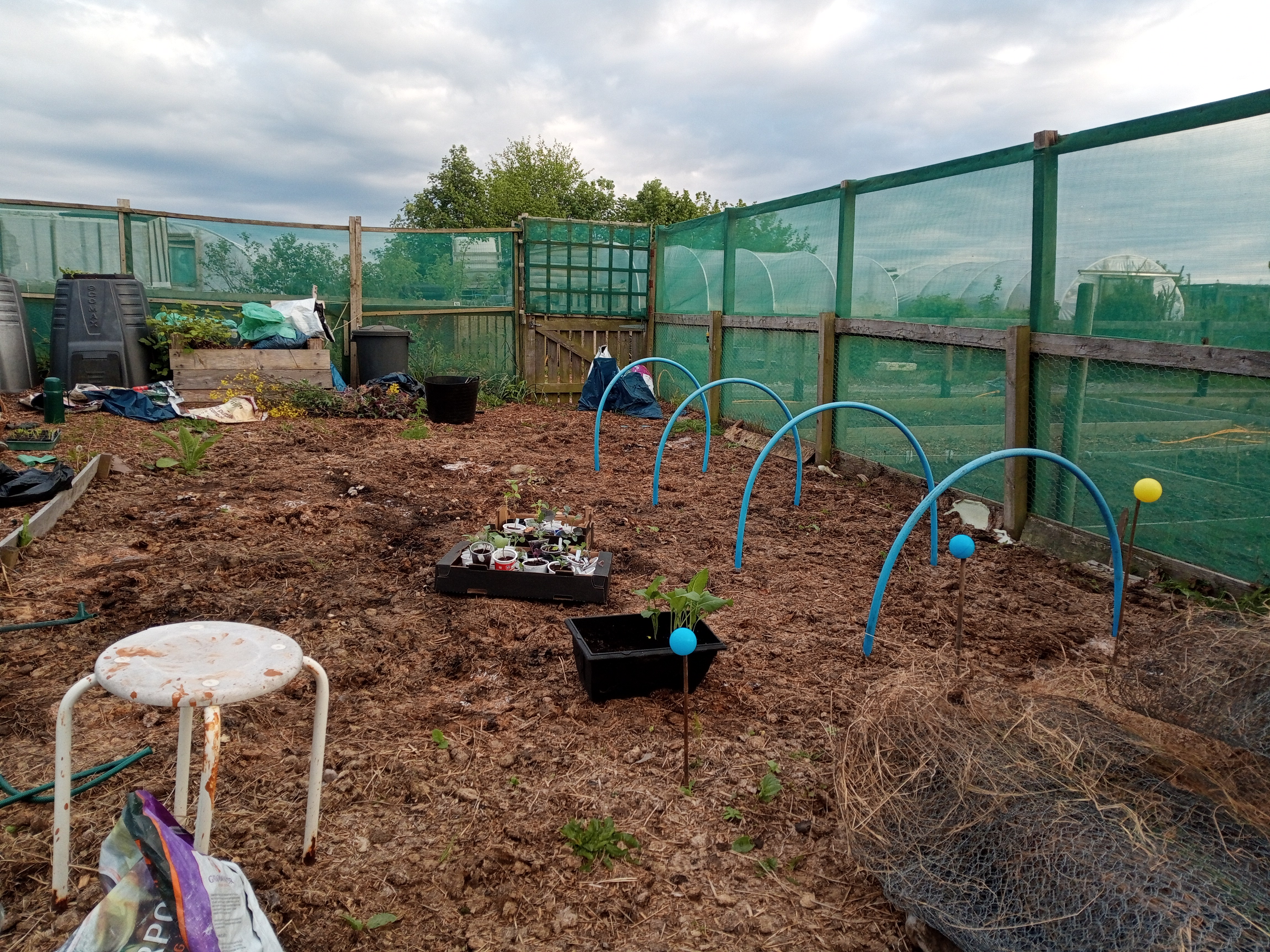 Seedlings, Slugs & Some Success – Gardening Update
