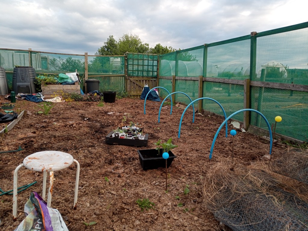 Seedlings, Slugs & Some Success – Gardening&nbsp;Update