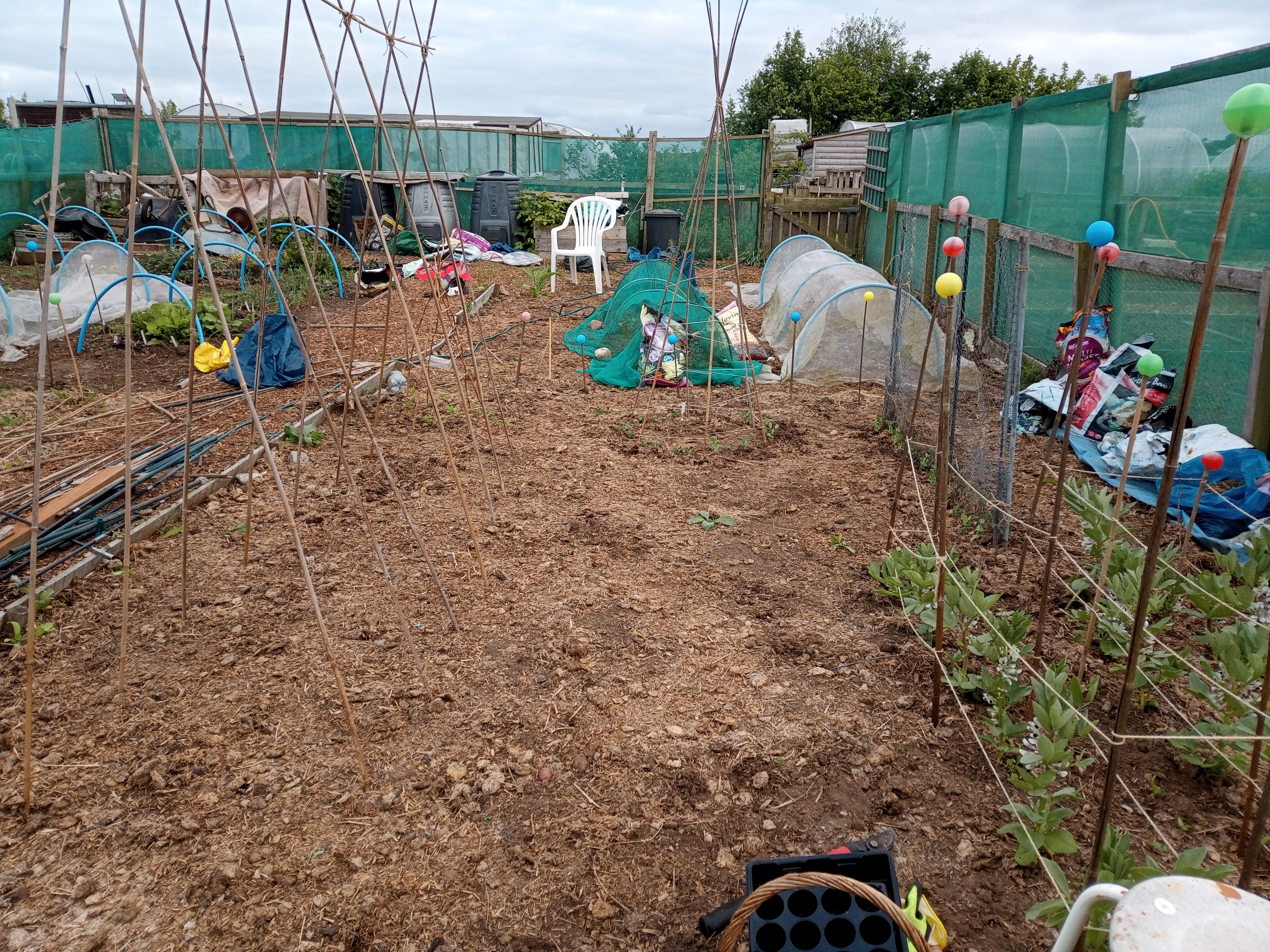 A-Frames and ‘Rustic’ Pea Supports!