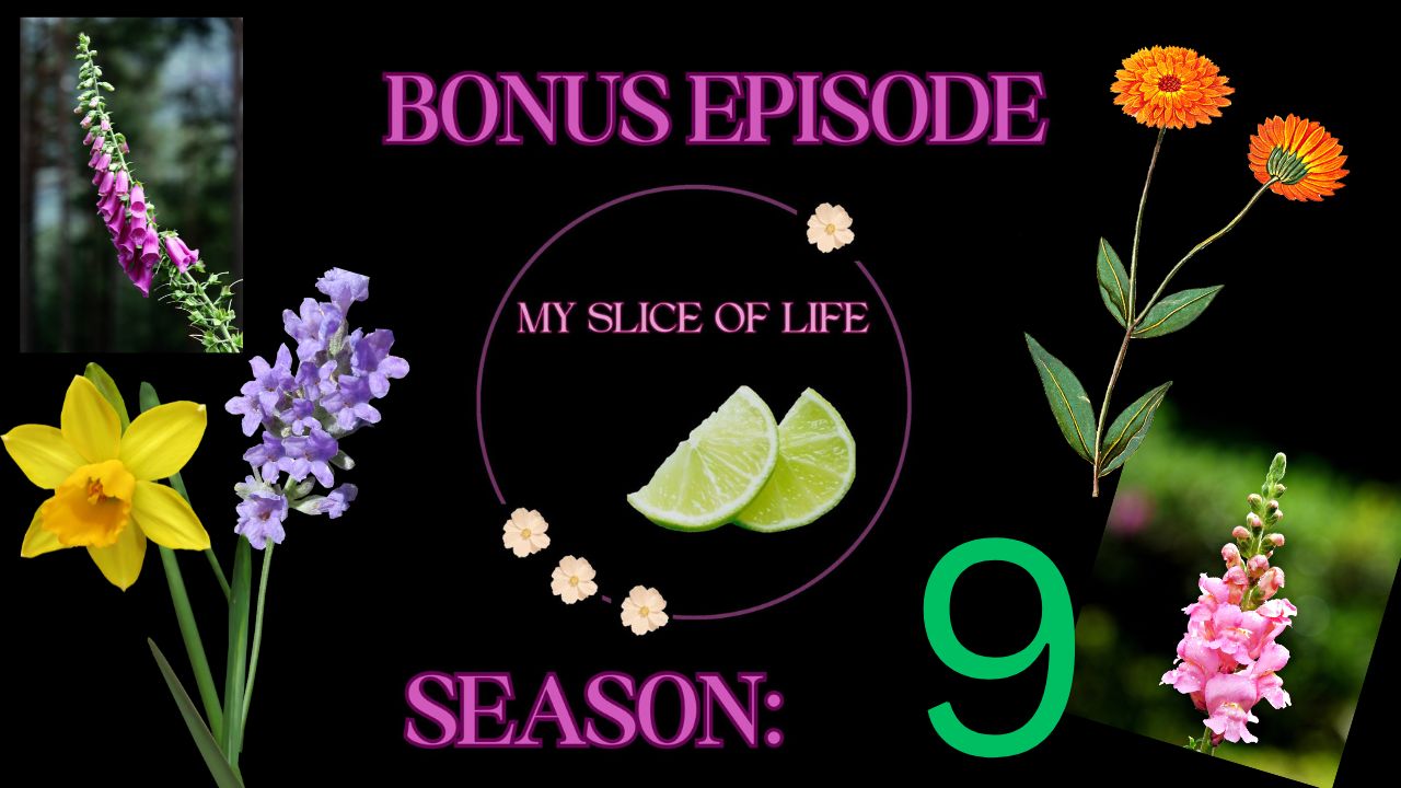 S9 Bonus – A Folklore Buffet!