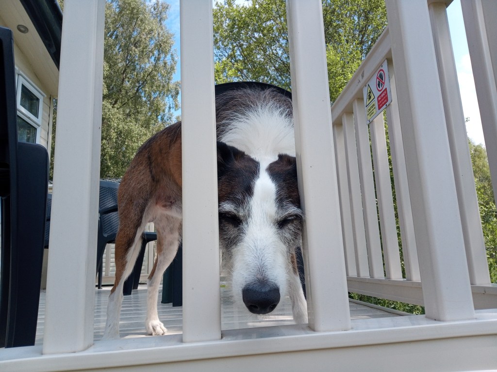 First Holiday in 5&nbsp;Years