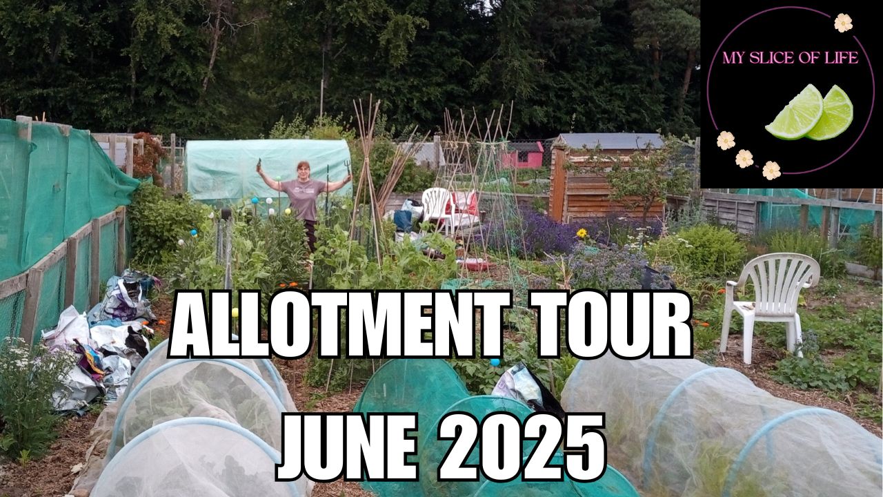 6. Tour around my Allotment Plot for June 2025