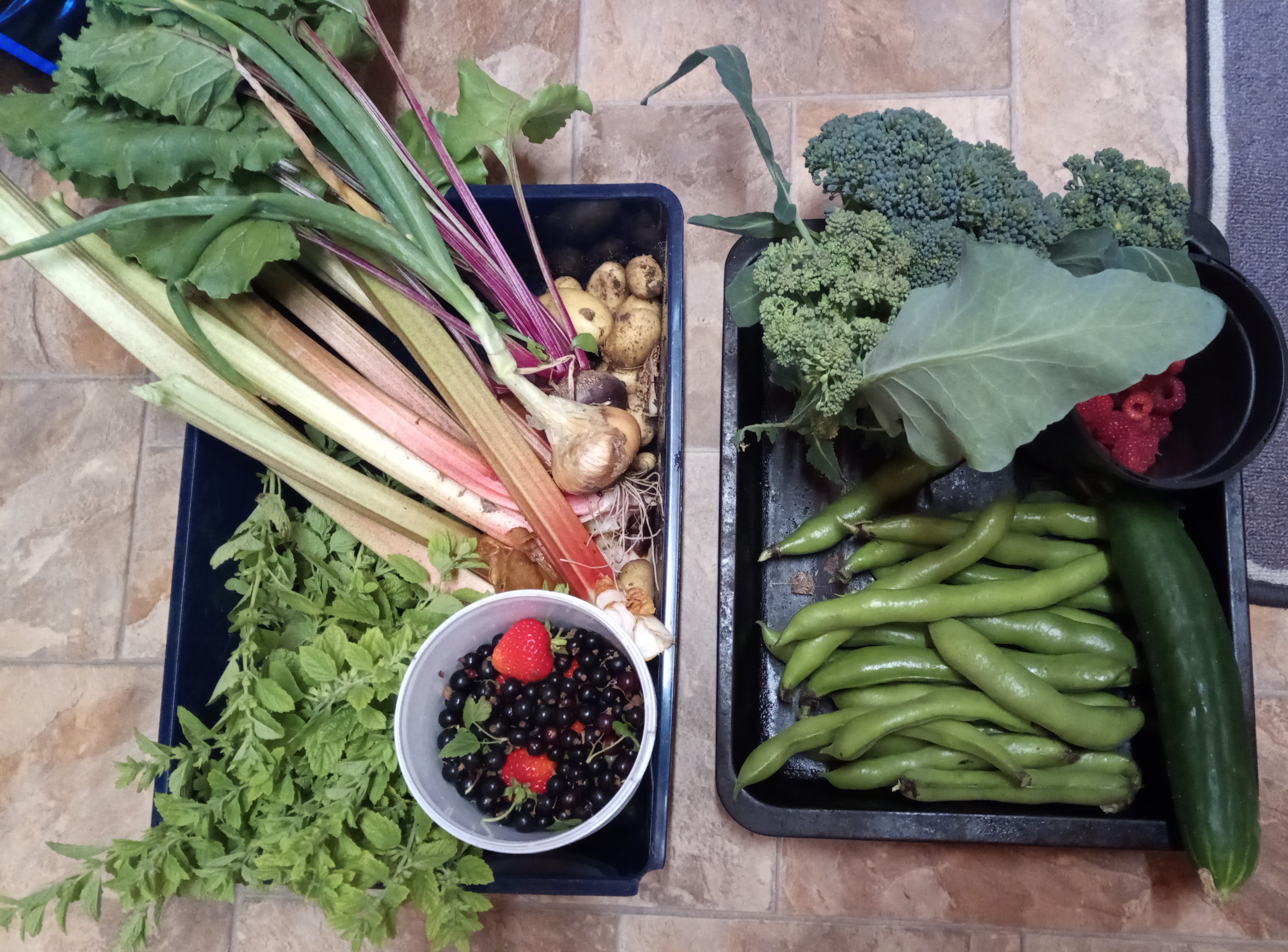 Great Results From the Garden