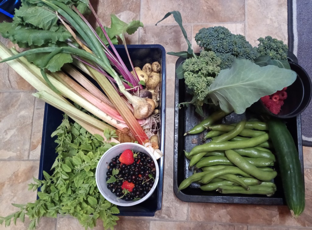 Great Results From the&nbsp;Garden