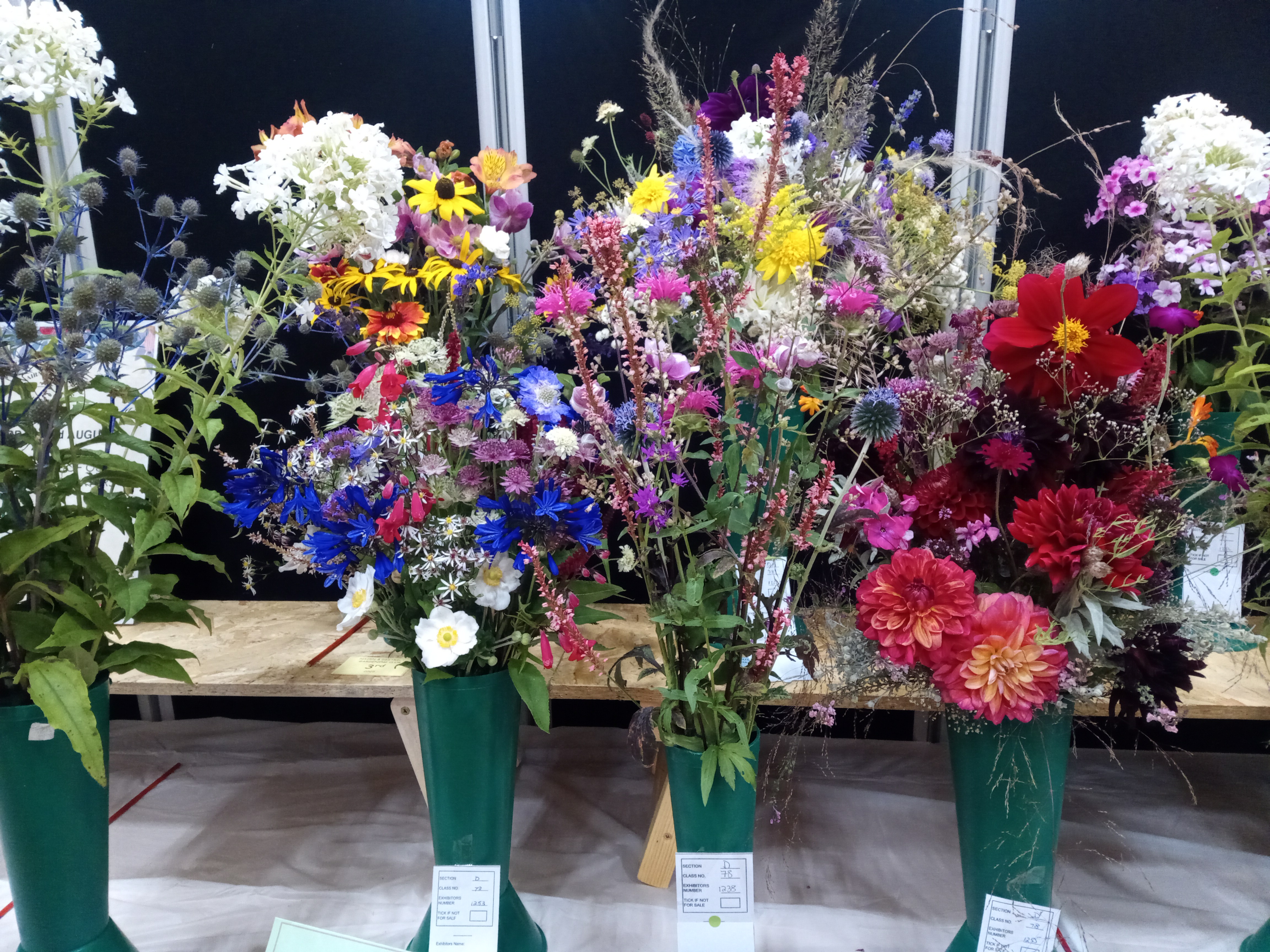 Come See An Annual Gardening Show With Me