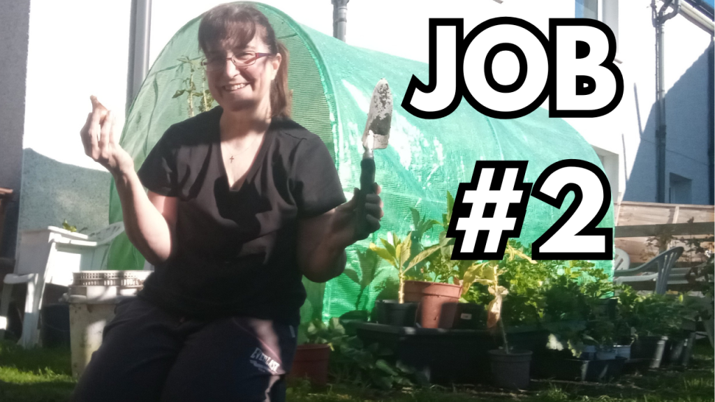 Day 2 of My Garden&nbsp;Challenge