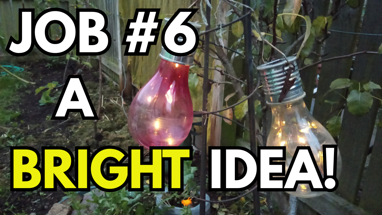 Day 6 of My Garden Challenge!